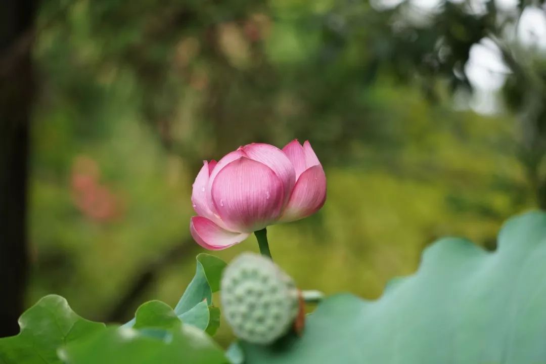 谈恋爱语言技巧，语言上的暧昧